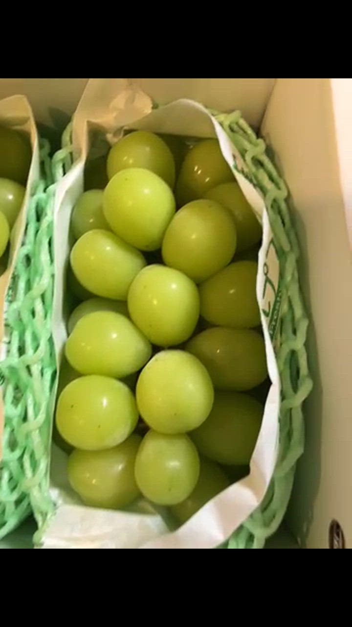 全体のレビュー動画のサムネイル | 1