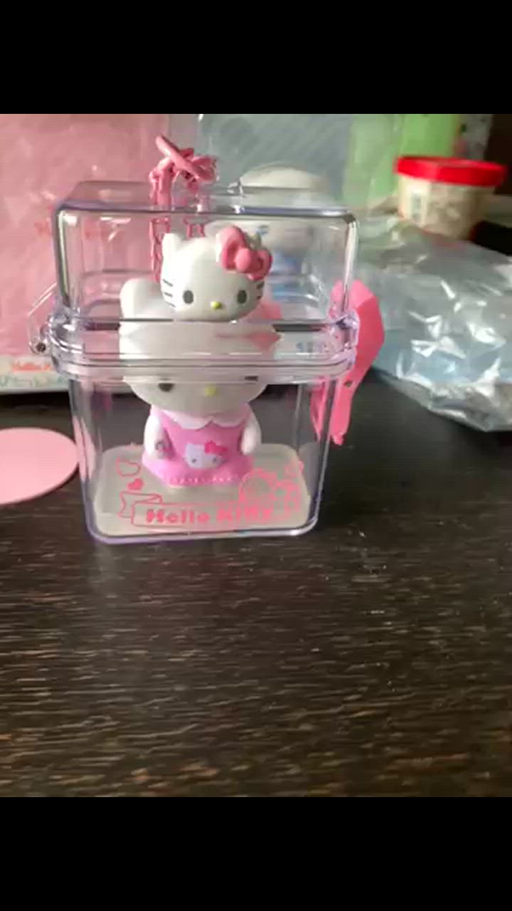 sanrio ハローキティ クリアケース（ぴたっとふれんずミニ