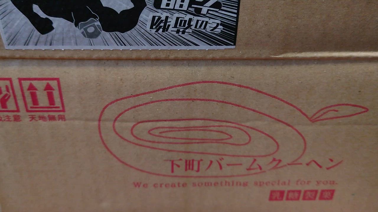 全体のレビュー動画のサムネイル | 11