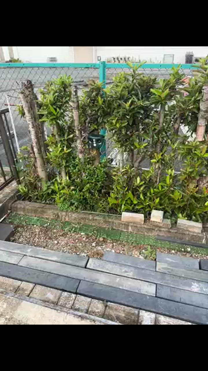 全体のレビュー動画のサムネイル | 0