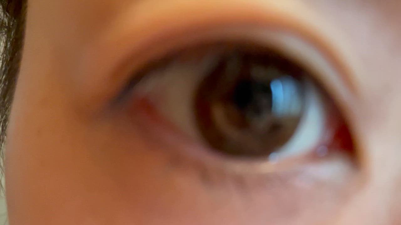 全体のレビュー動画のサムネイル | 4