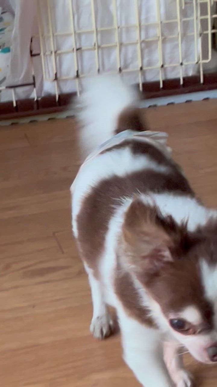 5件目のレビュー動画のサムネイル | 0