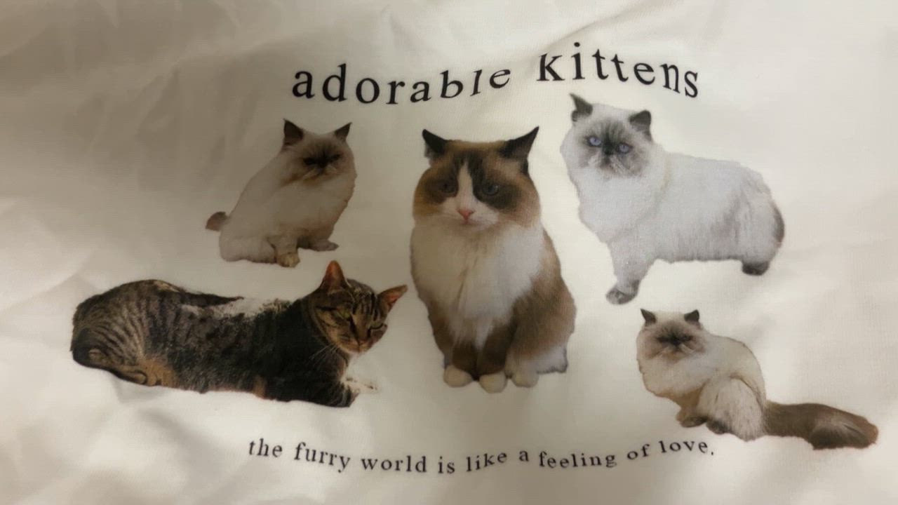 tシャツ CATプリントロングTシャツ レディース : ZOZOTOWN