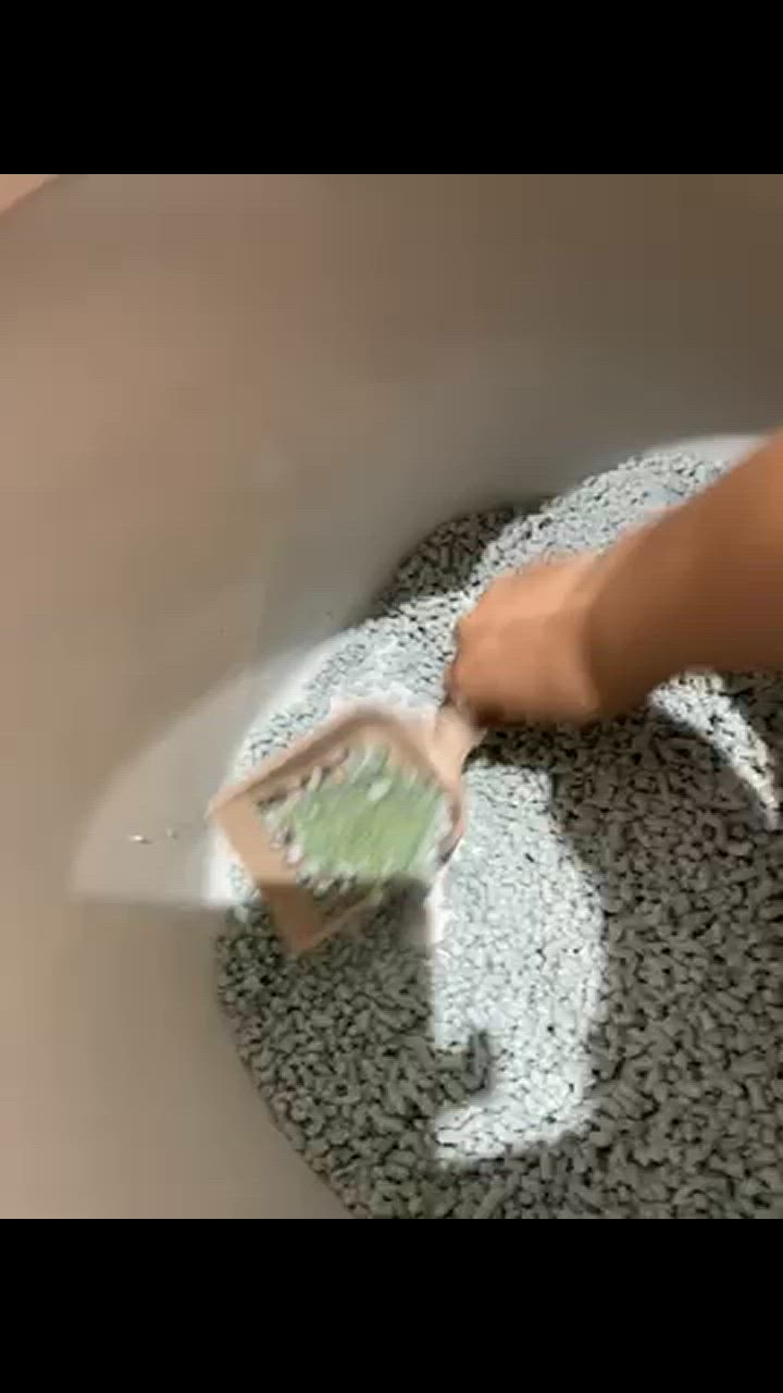 全体のレビュー動画のサムネイル | 7