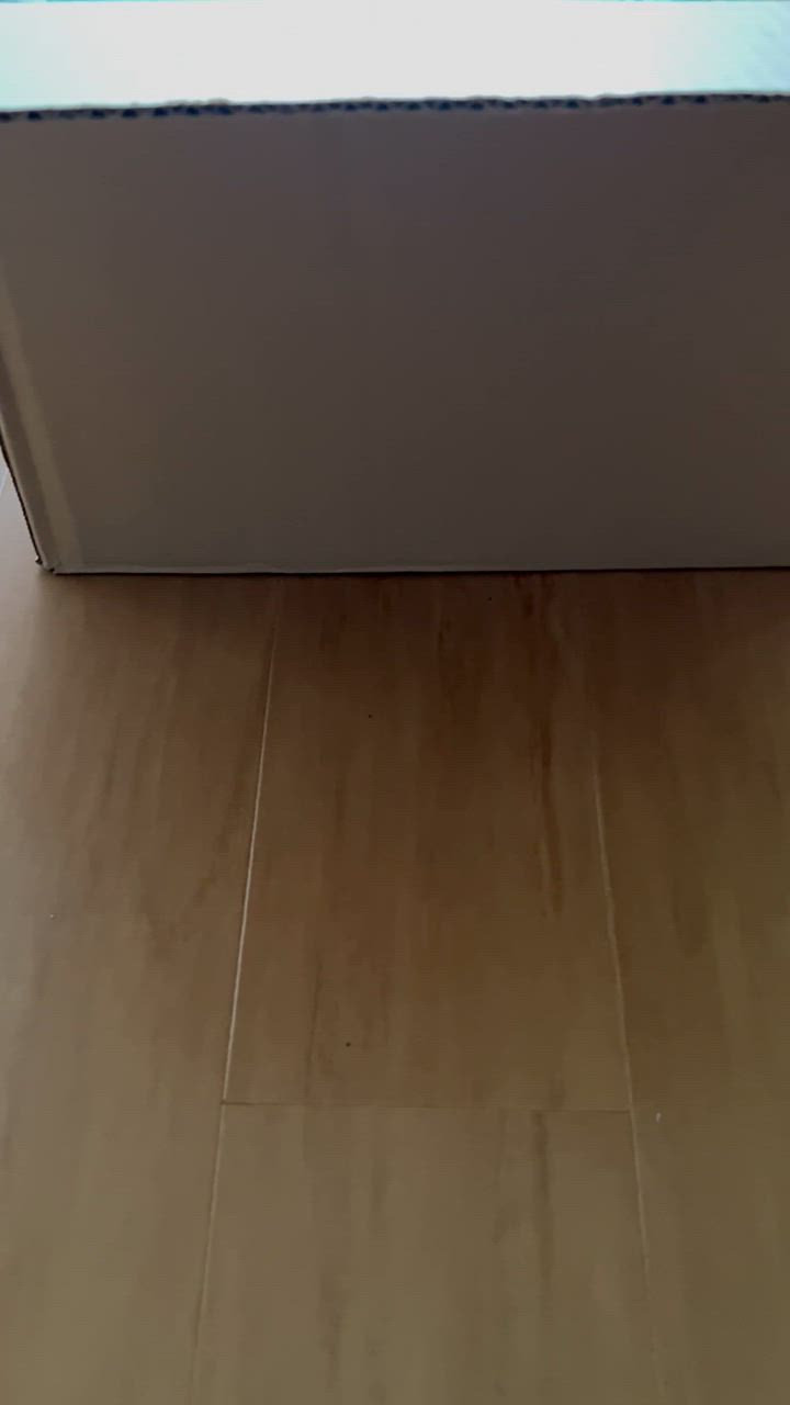 全体のレビュー動画のサムネイル | 15