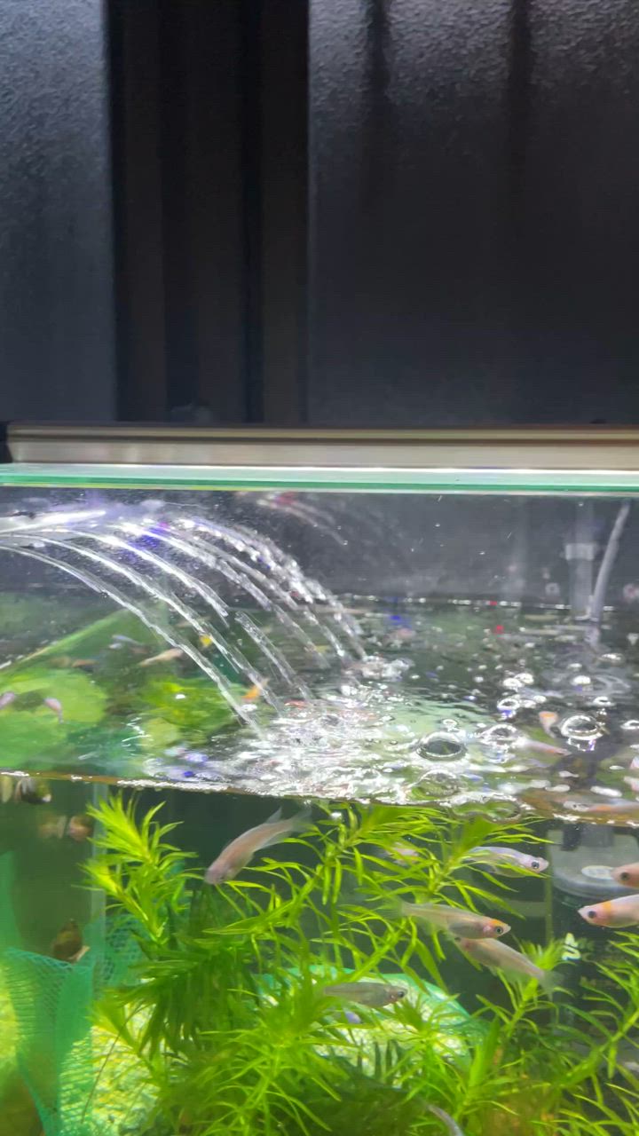 GEX マリーナ600 幅60cmガラス水槽 MR600BKST | 熱帯魚