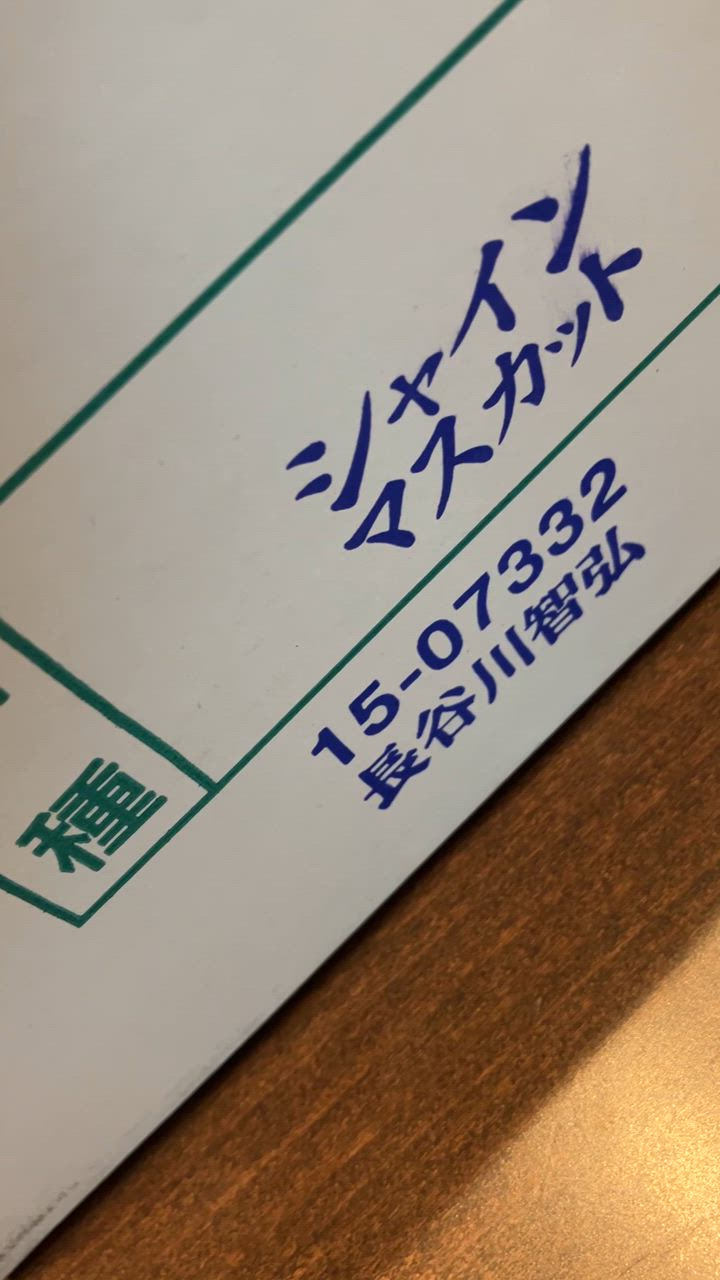 全体のレビュー動画のサムネイル | 0