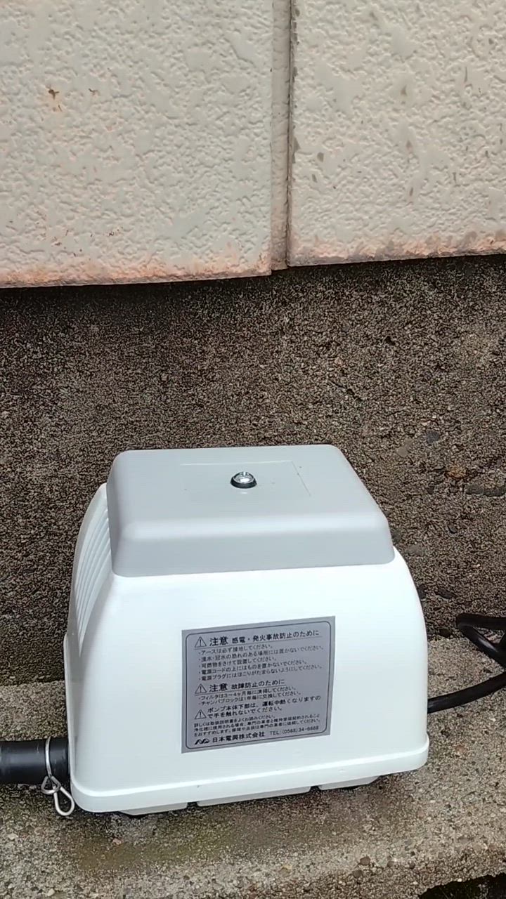 1件目のレビュー動画のサムネイル | 0