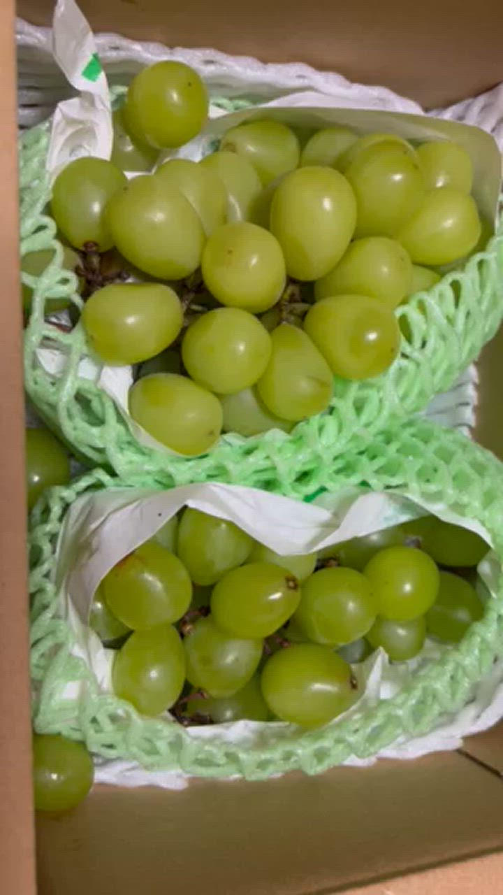 ぶどう 山梨産 大特価 シャインマスカット 2房 (約1.2kg) 大房