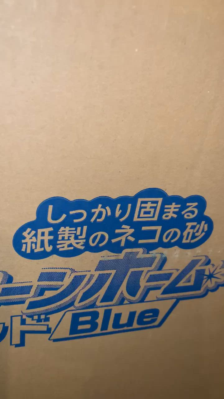 全体のレビュー動画のサムネイル | 18