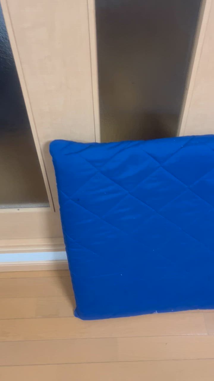 全体のレビュー動画のサムネイル | 0
