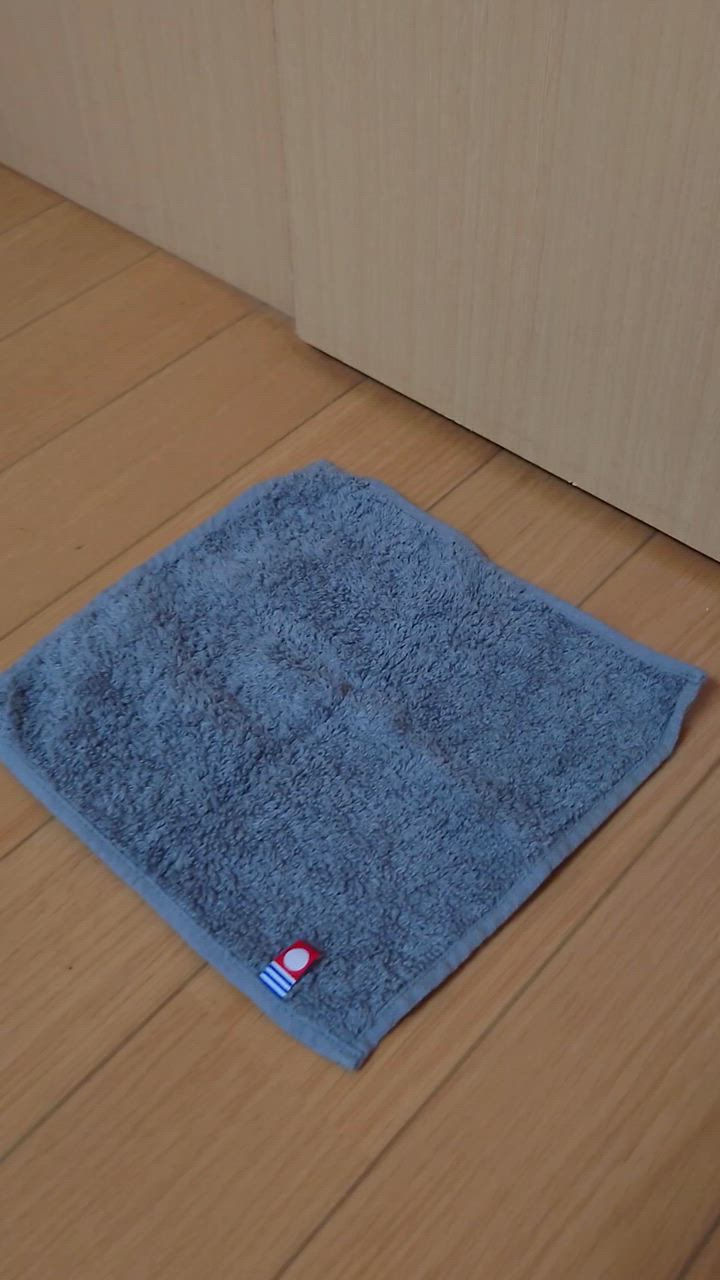 全体のレビュー動画のサムネイル | 0