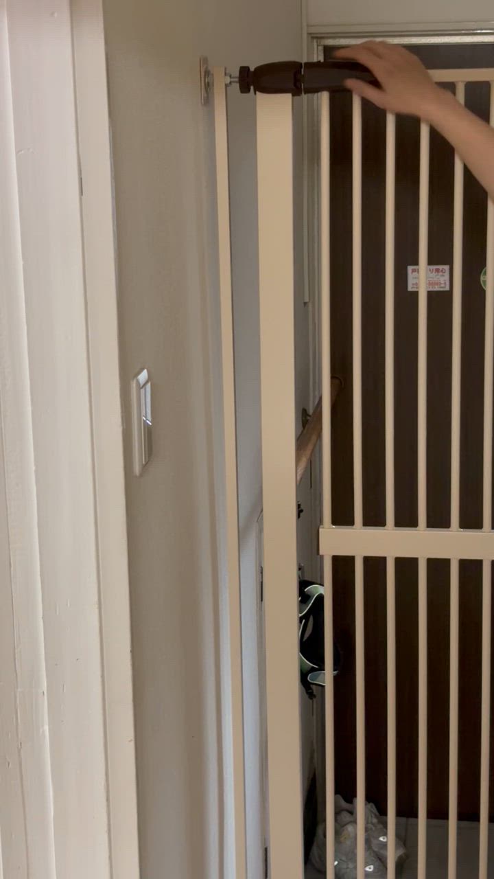 全体のレビュー動画のサムネイル | 0