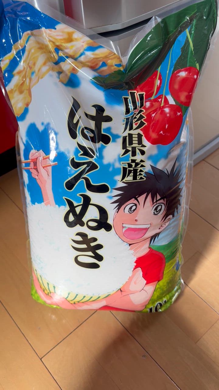 はえぬき 【送料無料】令和6年産 山形県産 白米10kg [四国・九州