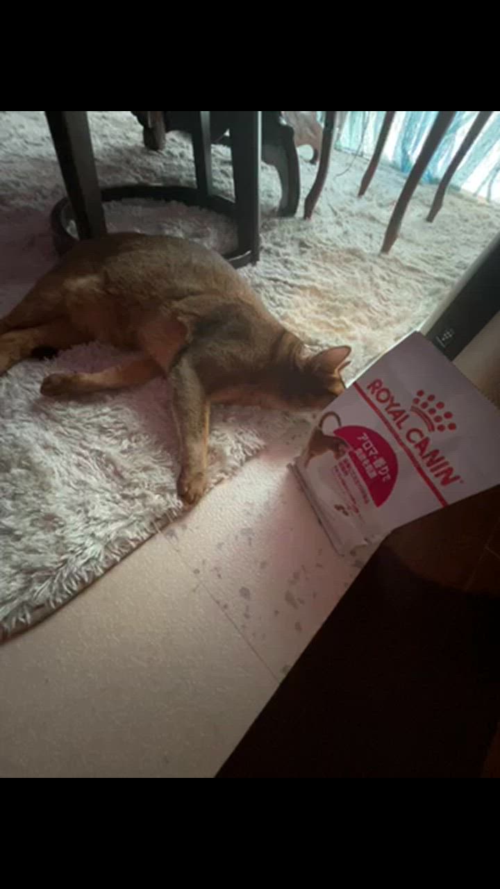 全体のレビュー動画のサムネイル | 0