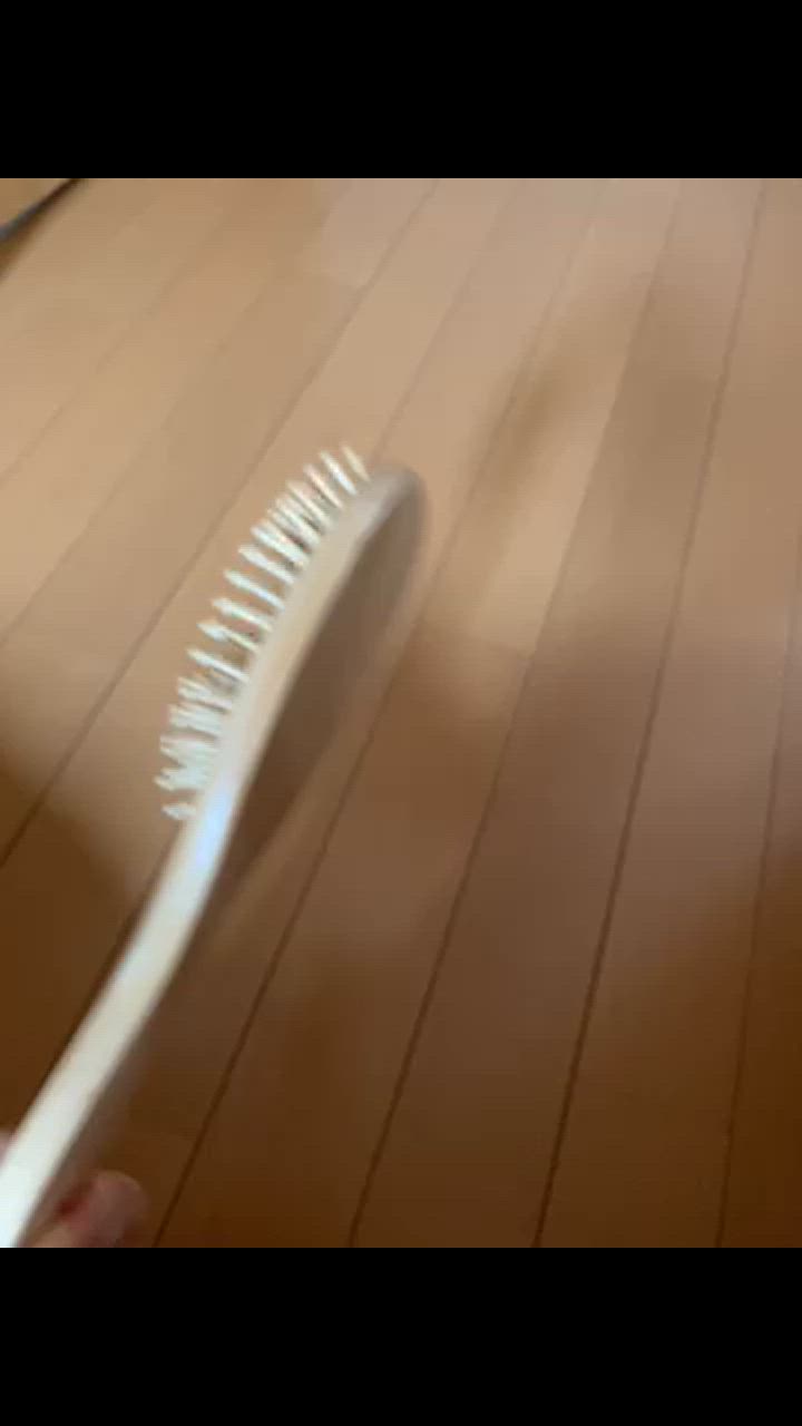 全体のレビュー動画のサムネイル | 0