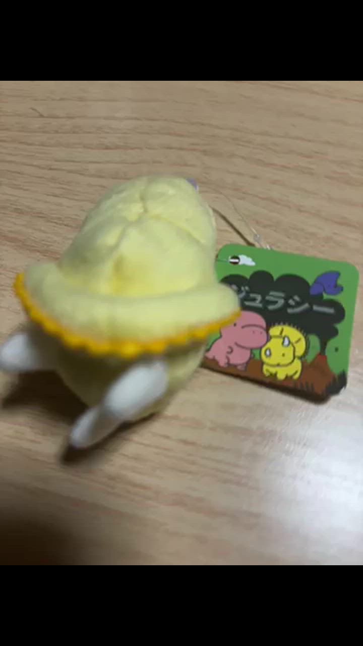 恐竜 おもちゃ ぬいぐるみ トリケラトプス A-SHOW 栄商