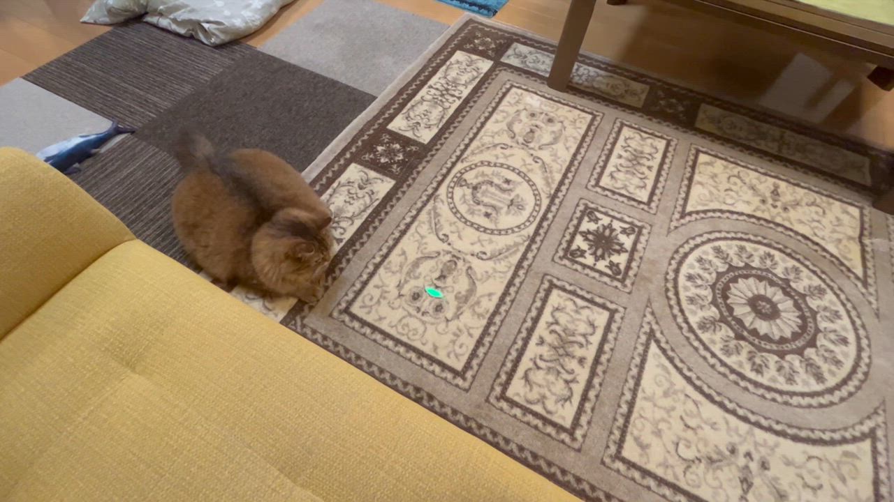 全体のレビュー動画のサムネイル | 4