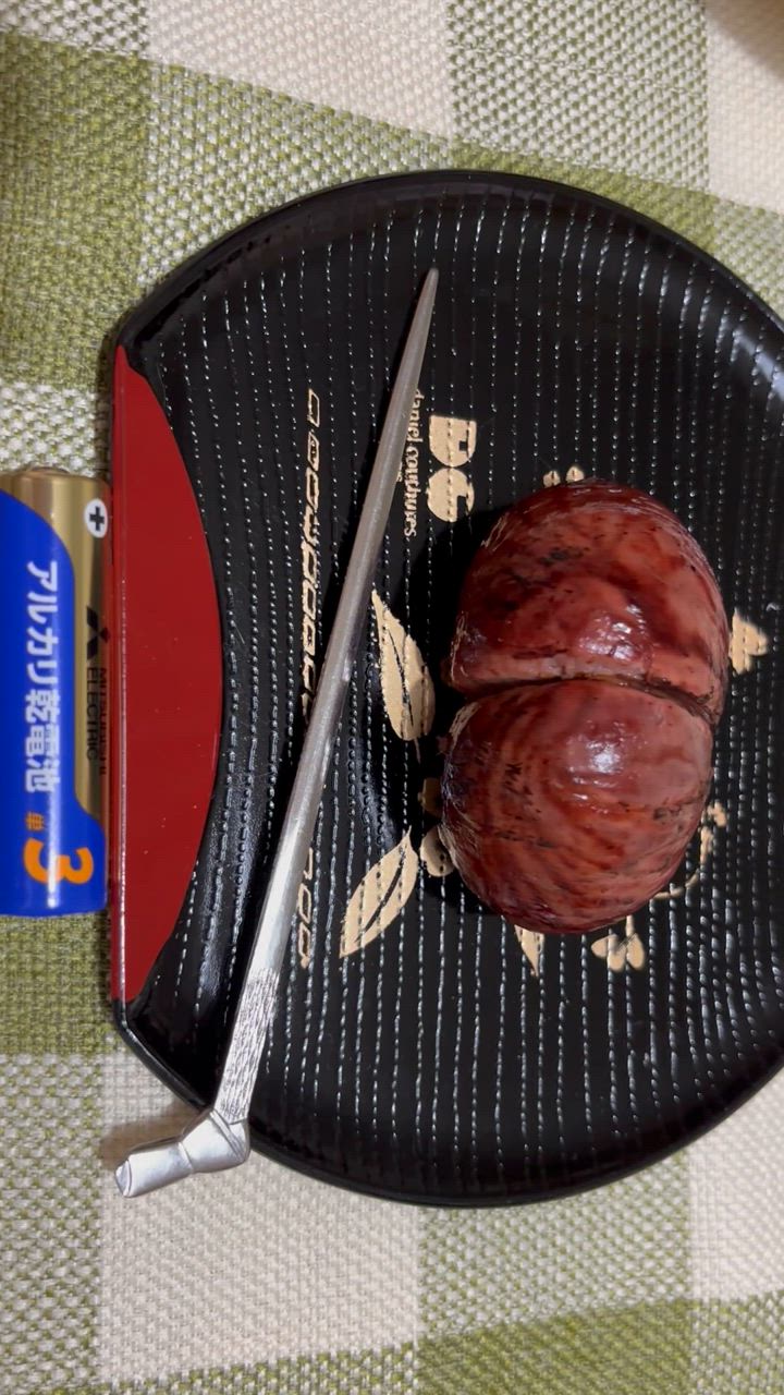 クール便 愛媛の栗 生栗 秀品 3Lサイズ 3kg 送料無料