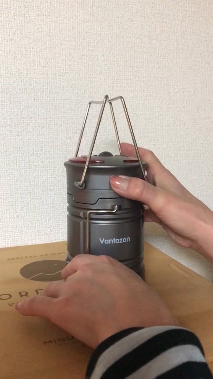 全体のレビュー動画のサムネイル | 12