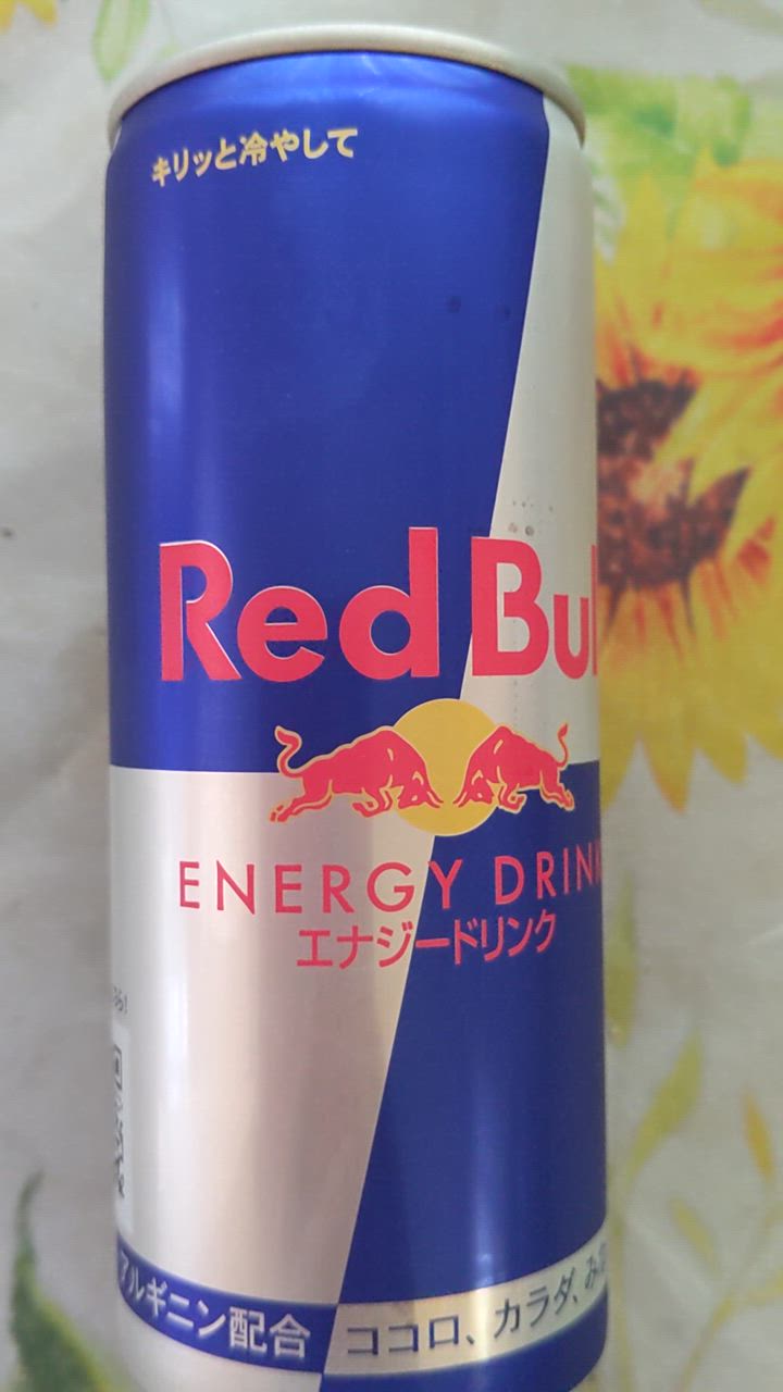 レッドブル RedBull 250ml 1ケース 24本 【送料無料 北海道