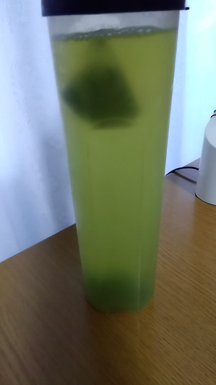 全体のレビュー動画のサムネイル | 17