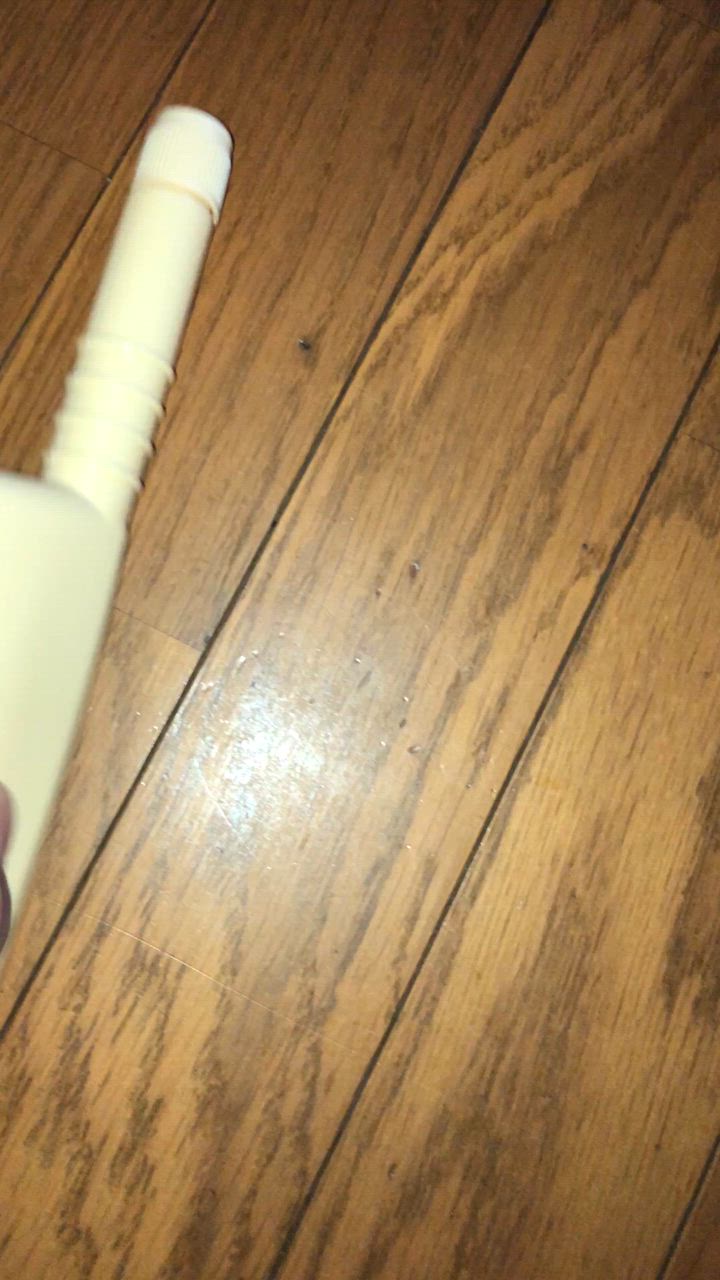 全体のレビュー動画のサムネイル | 9