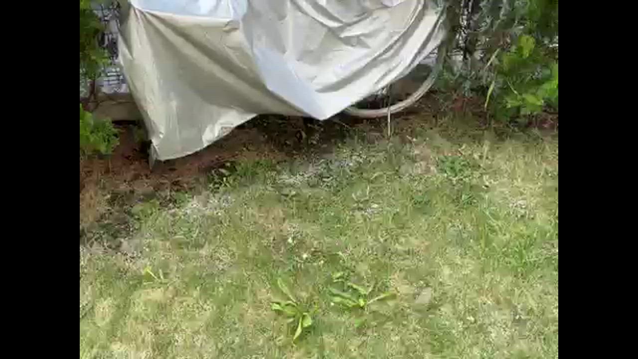 1件目のレビュー動画のサムネイル | 0