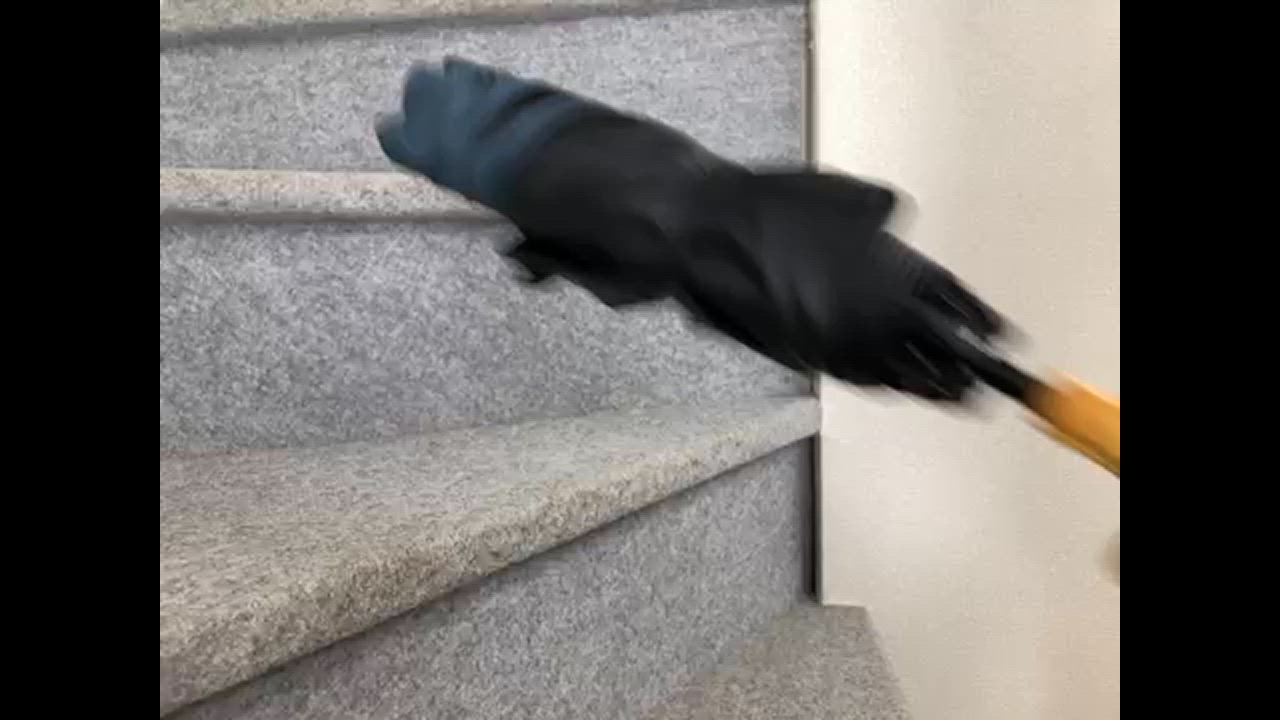 全体のレビュー動画のサムネイル | 3