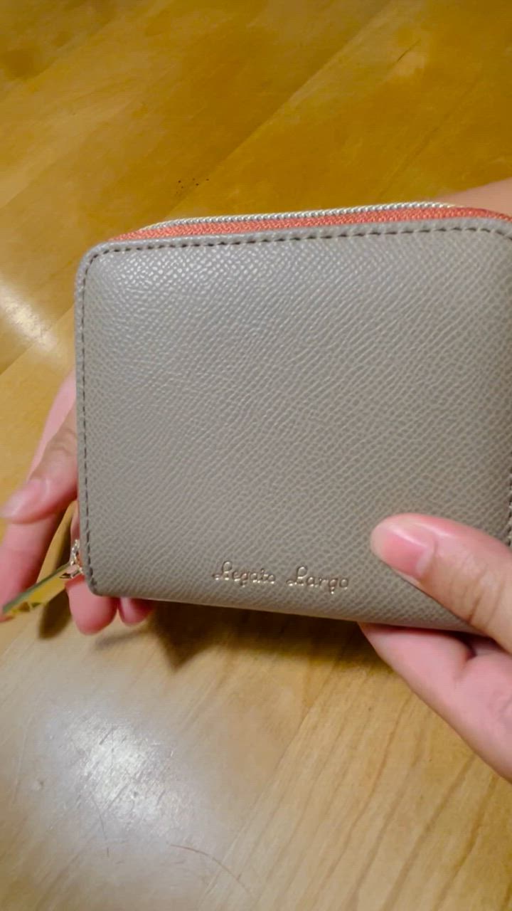 LOEVE・ロエベ・二つ折り財布・ダークブラウン・美品 ブラウン（茶色）系 LOEWE(ロエベ) 折りたたみ財布(レディース