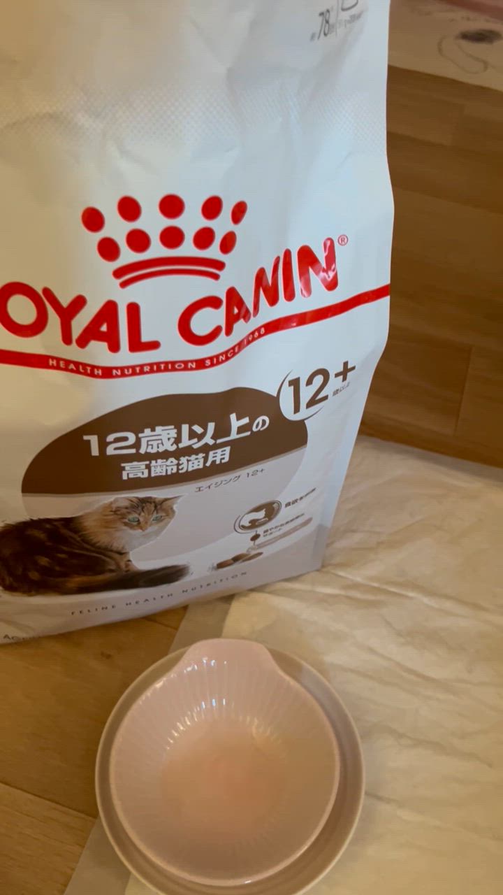 全体のレビュー動画のサムネイル | 0