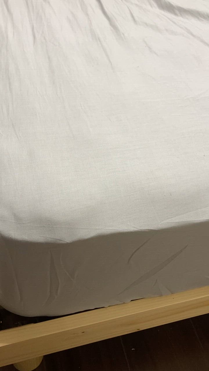全体のレビュー動画のサムネイル | 13