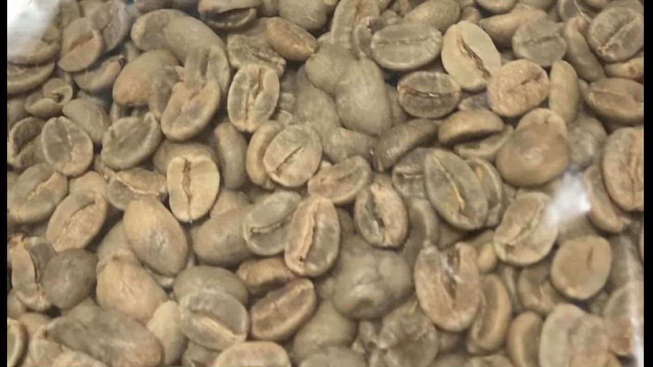 生豆 コーヒー 1kg エルサルバドルSHG ジュリア Qグレード 送料 生豆 コーヒー 1kg エルサルバドルSHG ジュリア Qグレード 送料