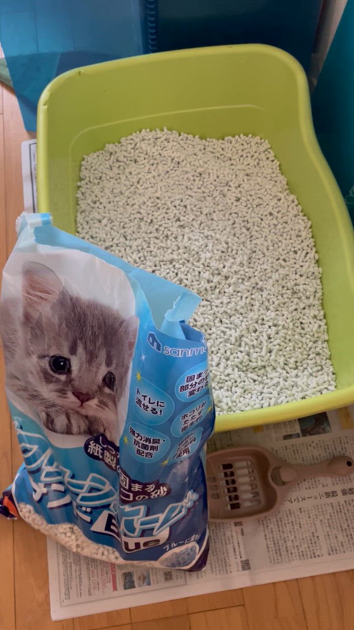 全体のレビュー動画のサムネイル | 17