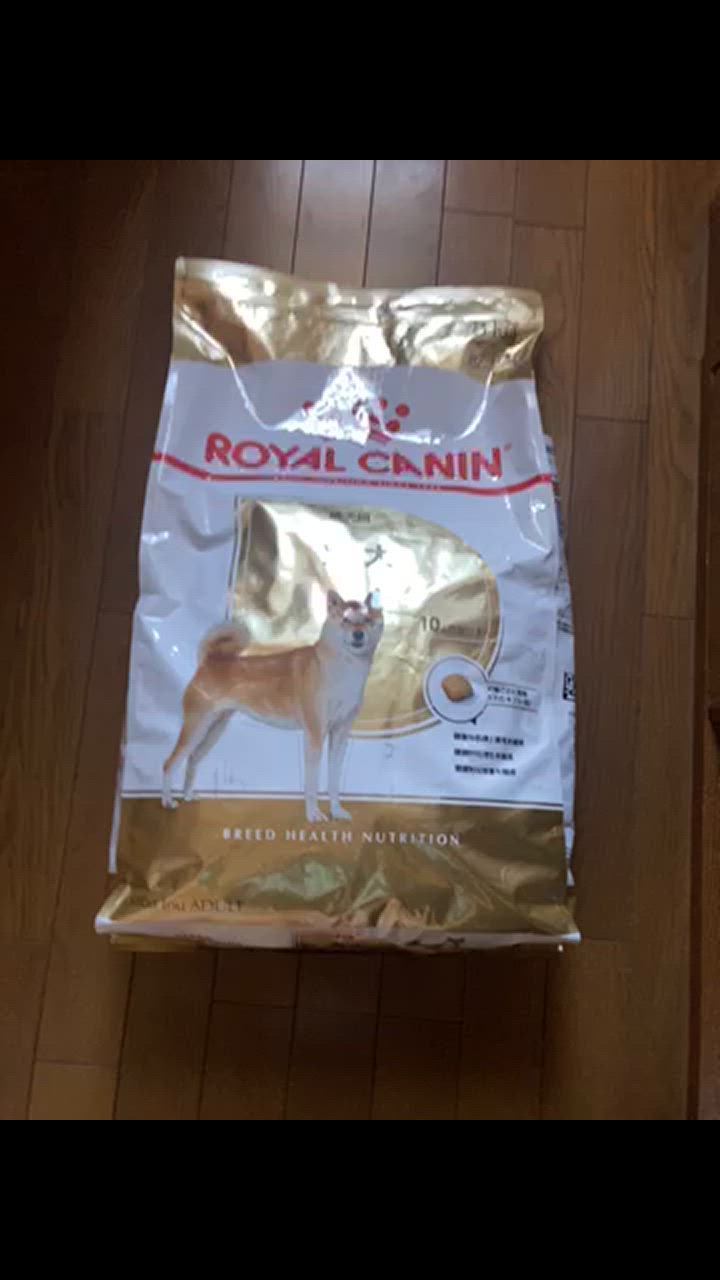 全体のレビュー動画のサムネイル | 1