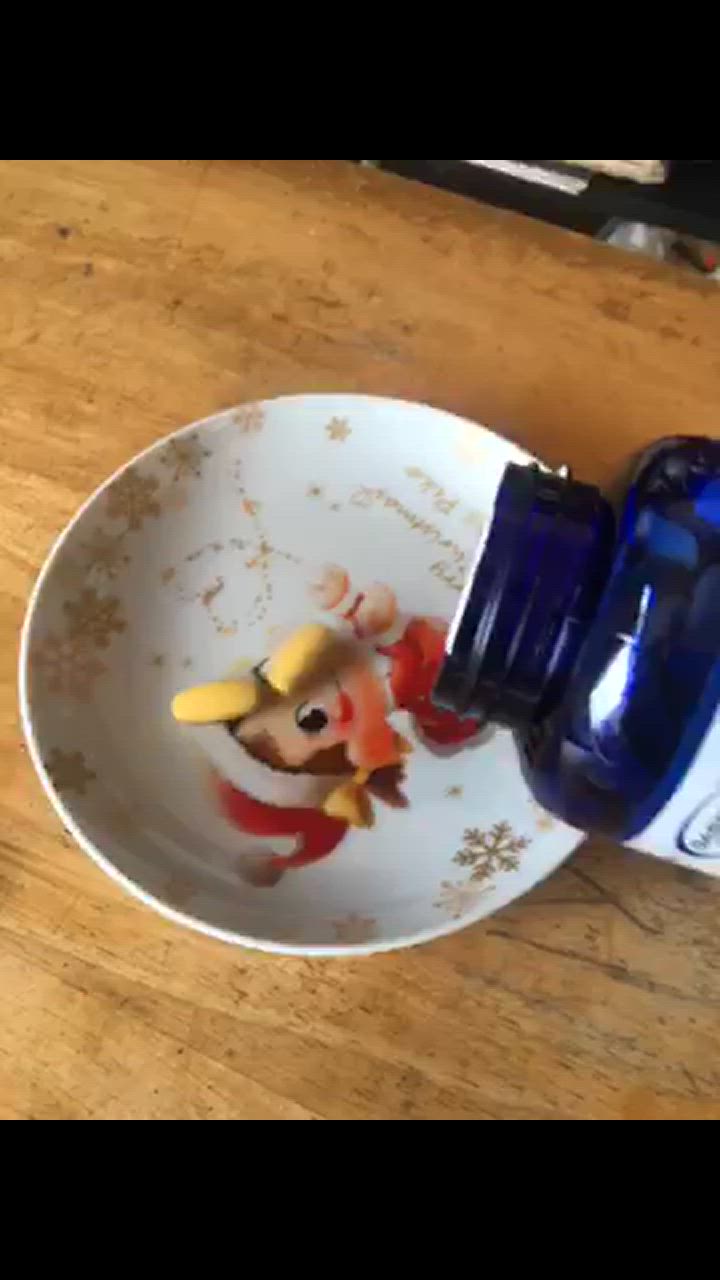 全体のレビュー動画のサムネイル | 0