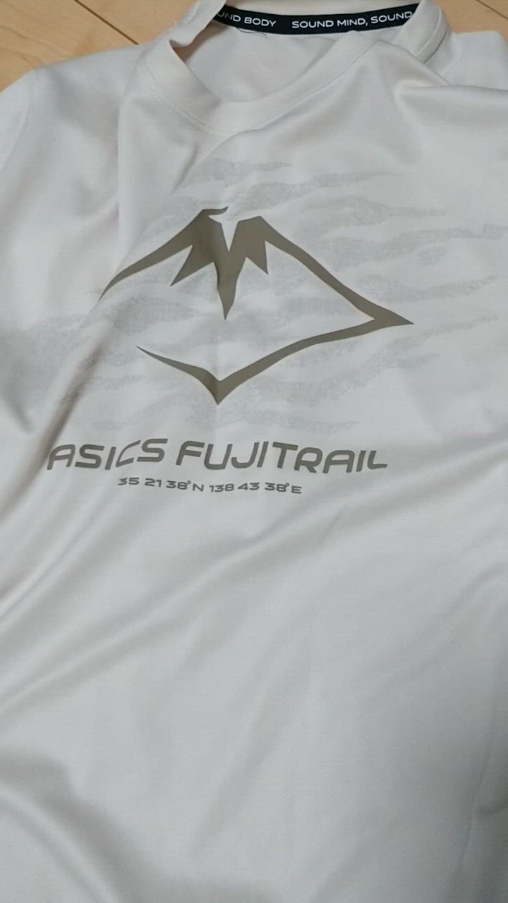 ASICS アシックス 半袖 Tシャツ メンズ 海外サイズ asics