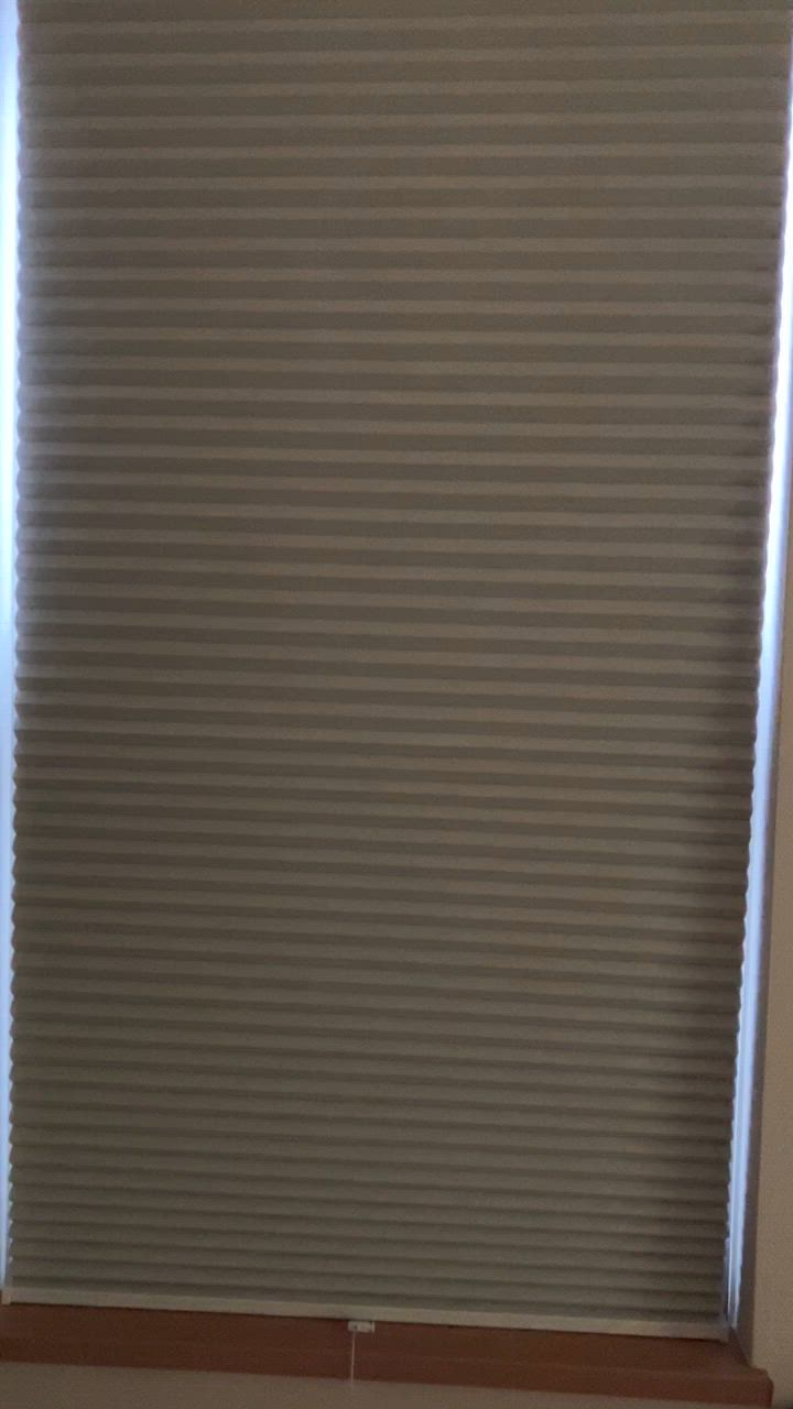 全体のレビュー動画のサムネイル | 5