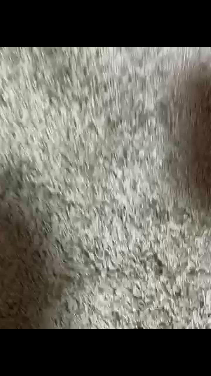 1件目のレビュー動画のサムネイル | 0