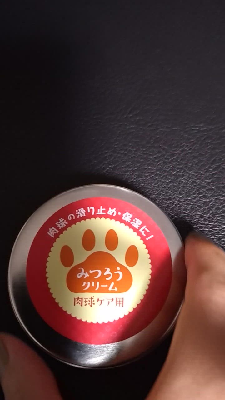 全体のレビュー動画のサムネイル | 6