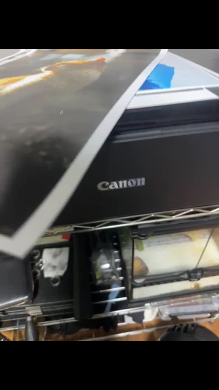 キヤノン CANON(キヤノン) PIXUS(ピクサス) iP8730 キヤノン CANON(キヤノン) PIXUS(ピクサス) iP8730