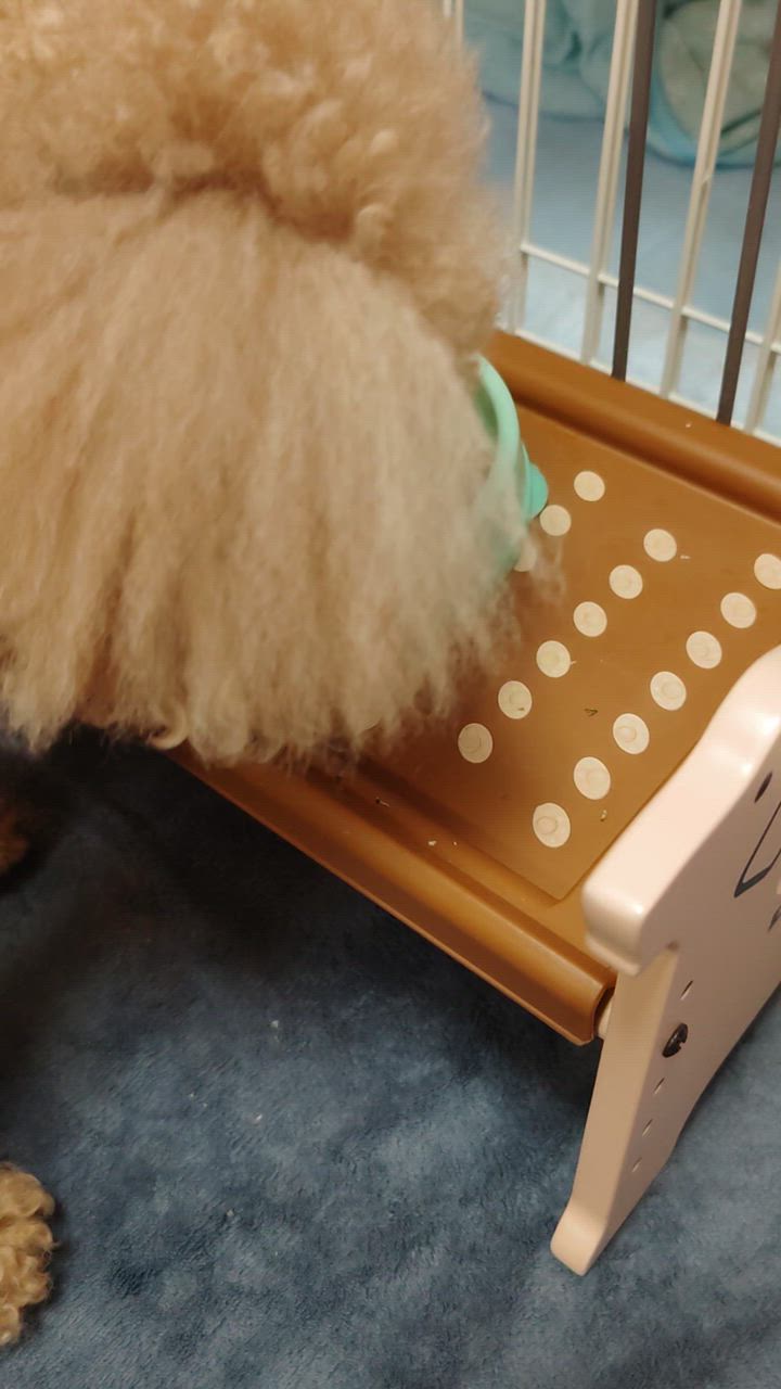 全体のレビュー動画のサムネイル | 0