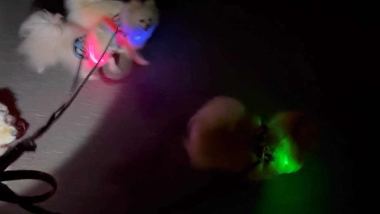 全体のレビュー動画のサムネイル | 3
