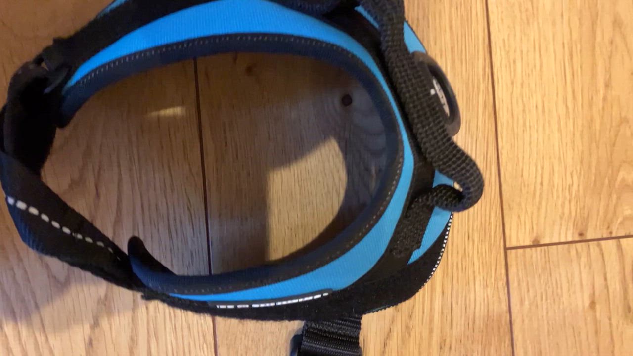 全体のレビュー動画のサムネイル | 3