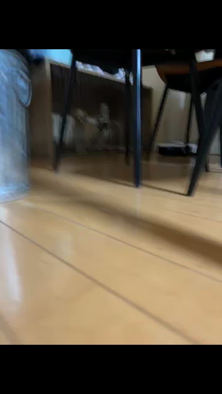 全体のレビュー動画のサムネイル | 9