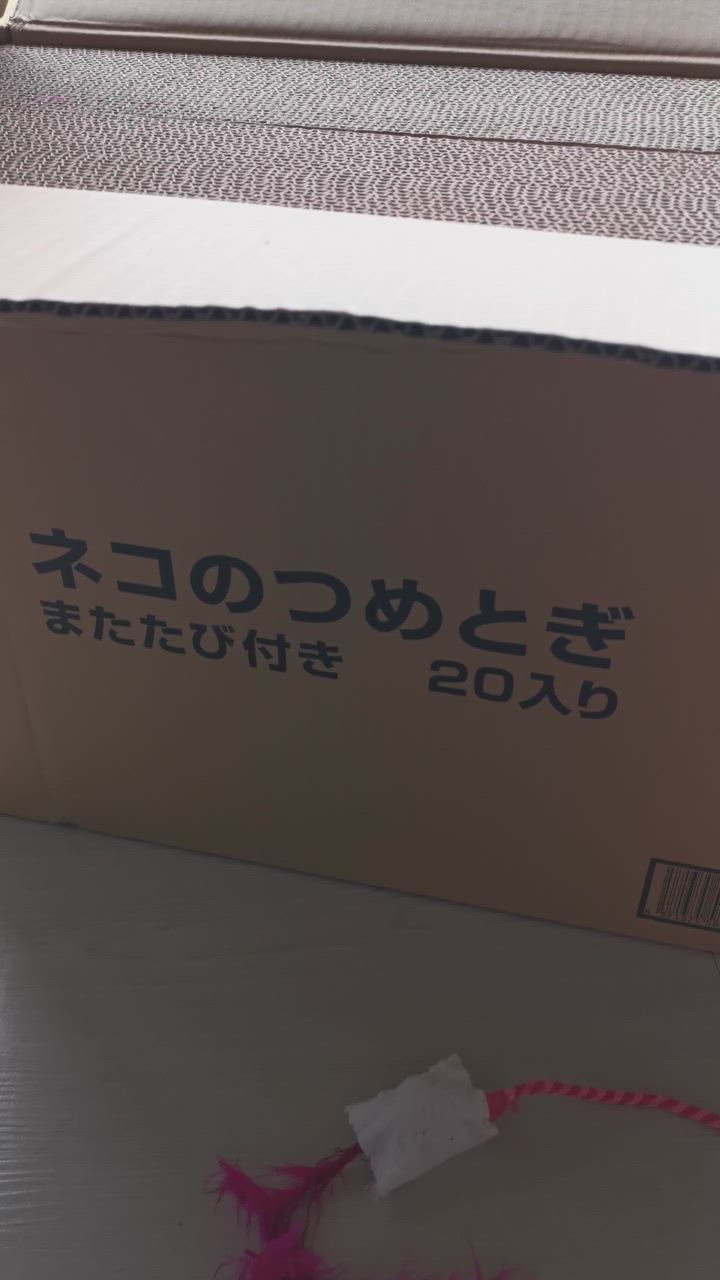 全体のレビュー動画のサムネイル | 2