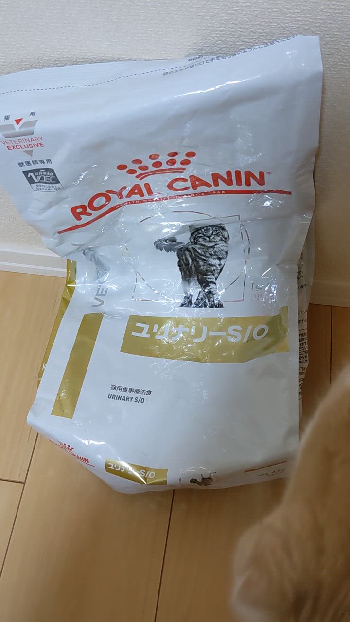 ロイヤルカナン 猫用 ユリナリーS/O ドライ 4kg/2個パック : 18306c02 : くにペットヘルスクリニック - 通販 -  Yahoo!ショッピング