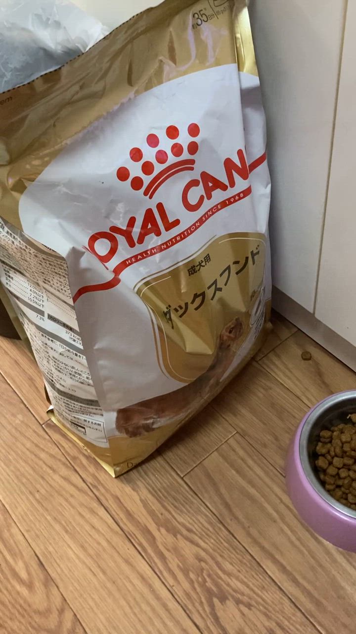 ロイヤルカナン 【3kg×2袋】ロイヤルカナン BHN ダックスフンド