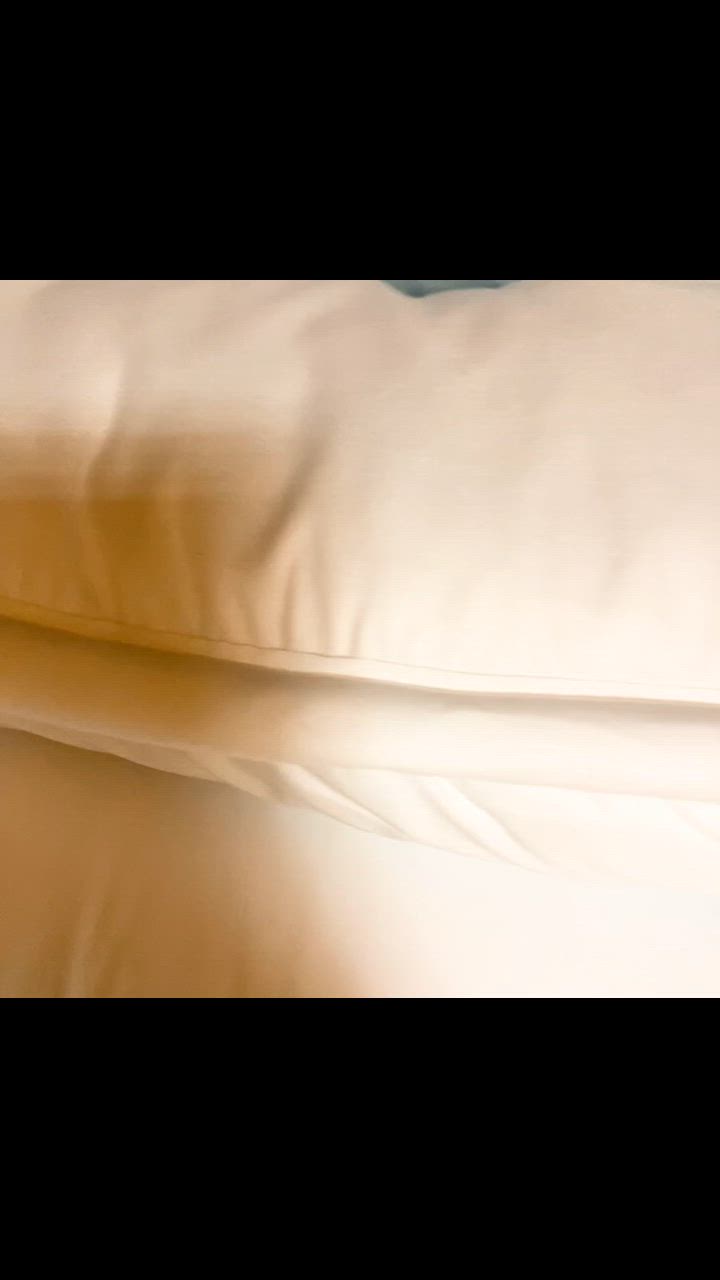 全体のレビュー動画のサムネイル | 0