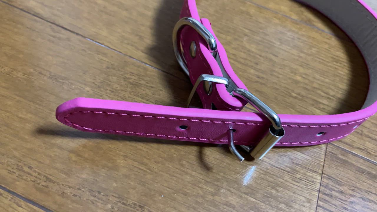 全体のレビュー動画のサムネイル | 1